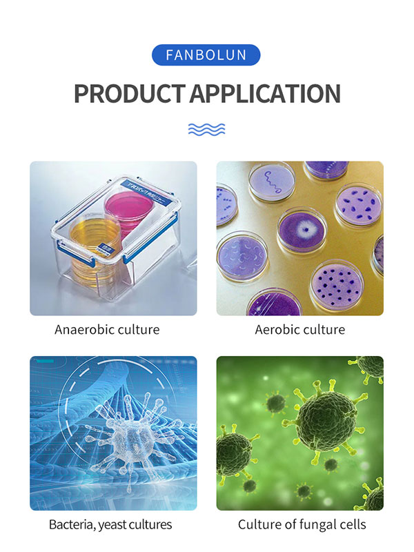 Lab bioreactor fermenter application