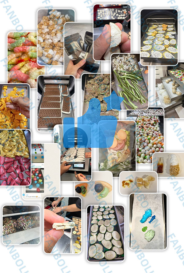 mini freeze dryer price